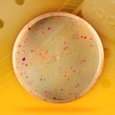 Inner Core 2|4|-0.5|0