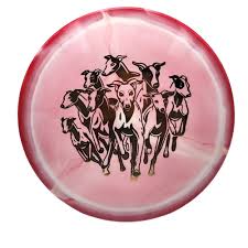 Whippet X 6|3|1|5