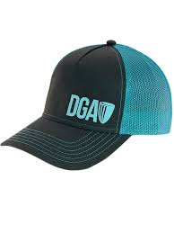 DGA Curved Mesh Snapback